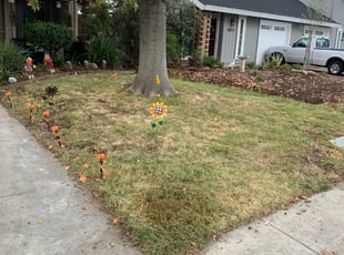 Leaf Removal by Jonathan Allen for Deonna M. in Citrus Heights, CA