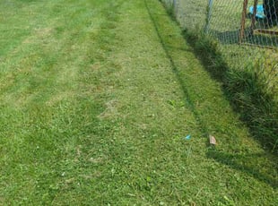 Glenn T.'s Lawn Care service result