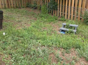 Weeding by Tiffany Higgins for Laura G. in Colorado Springs, CO