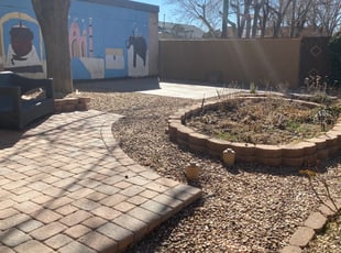 Leaf Removal by Manuel Lucero for Curtis H. in Albuquerque, NM