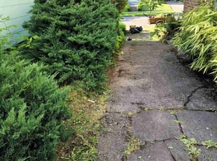 Bush Trimming by Devin Beard for Carly H. in Portland, OR