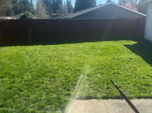 Tim H.'s Grass Cutting service result
