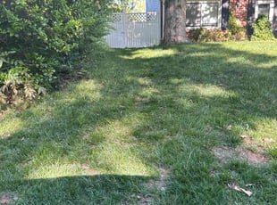Leaf Removal by Theodore Weir for Matthew A. in Virginia Beach, VA