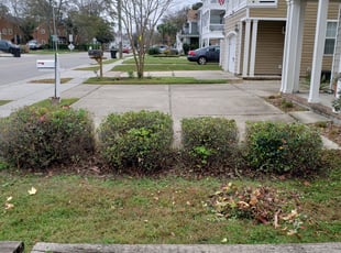 Cleanups by Edward Kauffman for Kristen K. in Virginia Beach, VA