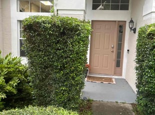 Bush Trimming by Patrick Paul for Domenic A. in Oviedo, FL