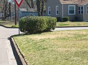 Bush Trimming by Sean Saulsby for Claire T. in Norfolk, VA