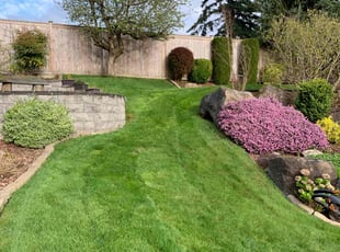 Daina B.'s Lawn Care service result