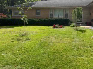 Laura C.'s Grass Cutting service result