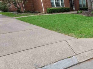 Mimi J.'s Lawn Care service result
