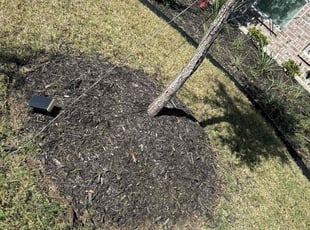 Weeding by Alfredo Cisneros for Kevin D. in Frisco, TX