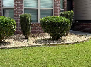Mark S.'s Bush Trimming service result