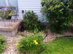 Bush Trimming by Kevin Rhyne for Shojonae J. in Madison, WI