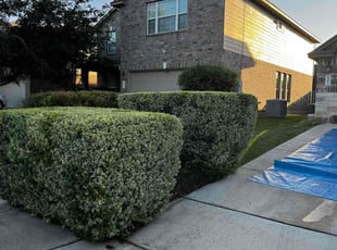 Suleman A.'s Grass Cutting service result