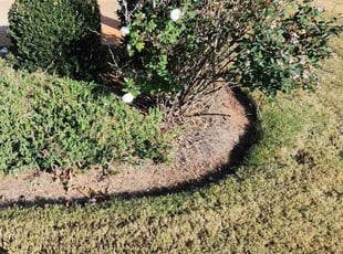 Weeding by Willie P for Trevelle G. in McDonough, GA