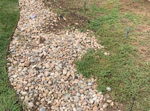 Weeding by David Taylor for Jim K. in Denver, CO