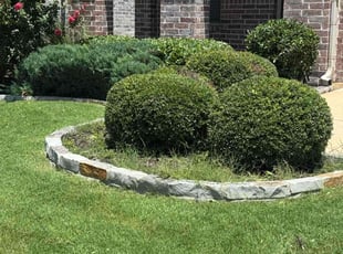 Bush Trimming by Maria Hernandez for Lynette M. in Aubrey, TX