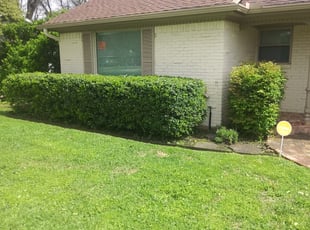 Bush Trimming by Shawn Burt for Cierra G. in Dallas, TX