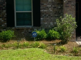 Weeding by Johnnie Spears for Princess W. in Livingston Parish, LA