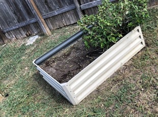 Weeding by Hector Espinosa for Suni H. in Buda, TX