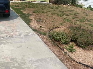 Weeding by Aaron Fresquez for Rebecca M. in Denver, CO