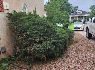 Cleanups by Ruben Candelario for Jesse D. in Colorado Springs, CO