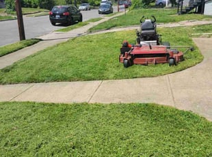 David M.'s Lawn Mowing service result