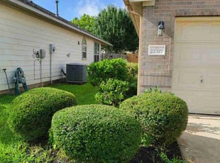 Bush Trimming by Briana Rivera for Kathy C. in Katy, TX