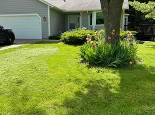 Patricia P.'s Lawn Maintenance service result
