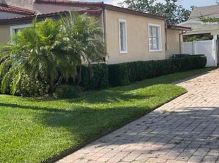 Bush Trimming by Albert Brown for Matthew M. in Orlando, FL