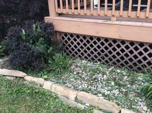 Weeding by Kareem Bonner for Maddi I. in Cincinnati, OH