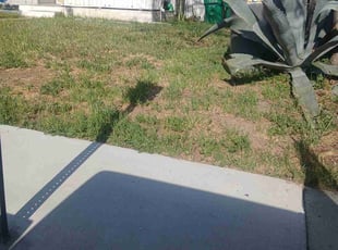 Bush Trimming by James Foster for Lauren H. in Banning, CA