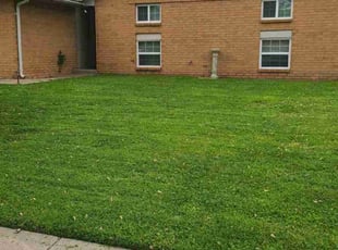 Ruedell W.'s Grass Cutting service result