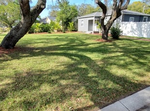 Theresa R.'s Lawn Mowing service result
