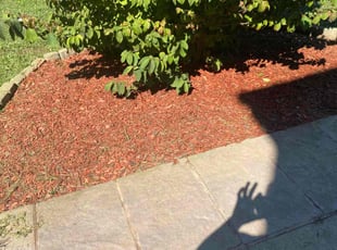 Mulching by Adam Kersey for Tevin G. in Charlotte, NC