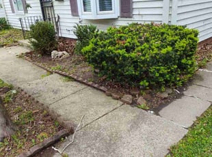 Bush Trimming by Rayshawn Martin for Angee F. in Euclid, OH
