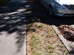 Cleanups by Damion Forney for Stan S. in Charlotte, NC