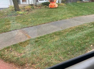 Leaf Removal by John Rawlings for Jeremy V. in Wheeling, IL