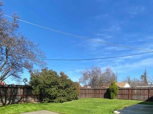 Jeanne L.'s Lawn Care service result