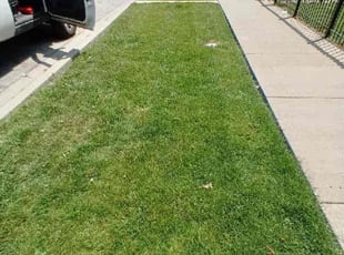 Weeding by Larry Cornelious for Kiara M. in Chicago, IL