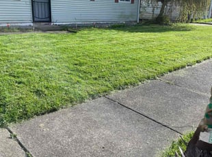 Mimi J.'s Lawn Mowing service result