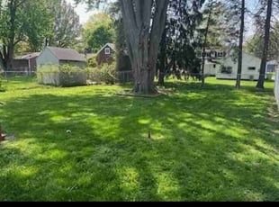 Michelle B.'s Lawn Mowing service result