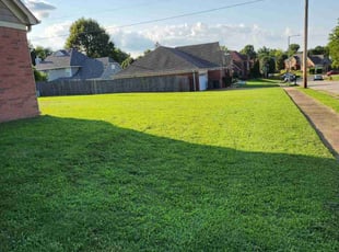 Larry H.'s Yard Cutting service result