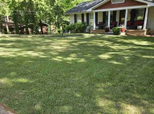 Stacy F.'s Lawn Care service result