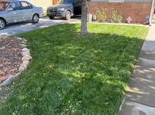Terry L.'s Lawn Care service result
