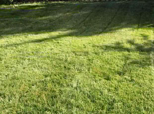 Lameke J.'s Lawn Mowing Service service result