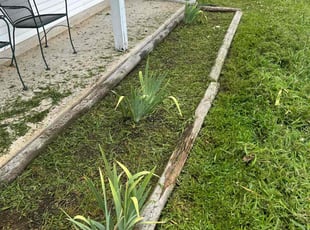 Weeding by Joseph Brock for Brittany W. in Murfreesboro, TN