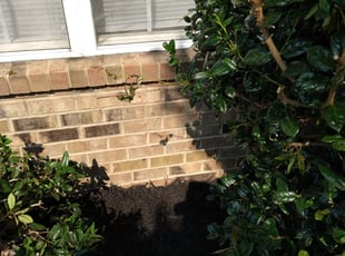 Landscaping by Ryan Munsey for Sharonda A. in Charlotte, NC