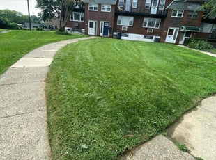 Drew M.'s Lawn Mowing Service service result