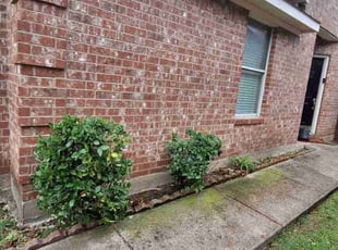 Bush Trimming by Jesus Valencia for Laquitta H. in Little Elm, TX