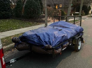 Leaf Removal by Kamonta Hackey for Julie L. in Washington, DC